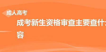 成考新生资格审查主要查什么内容